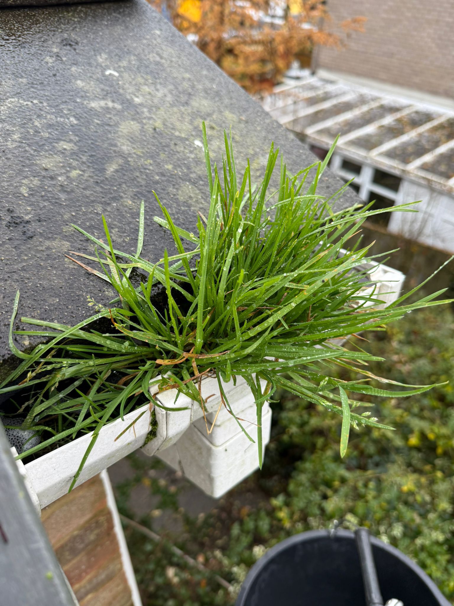 Blocked gutter downpipe in Yateley